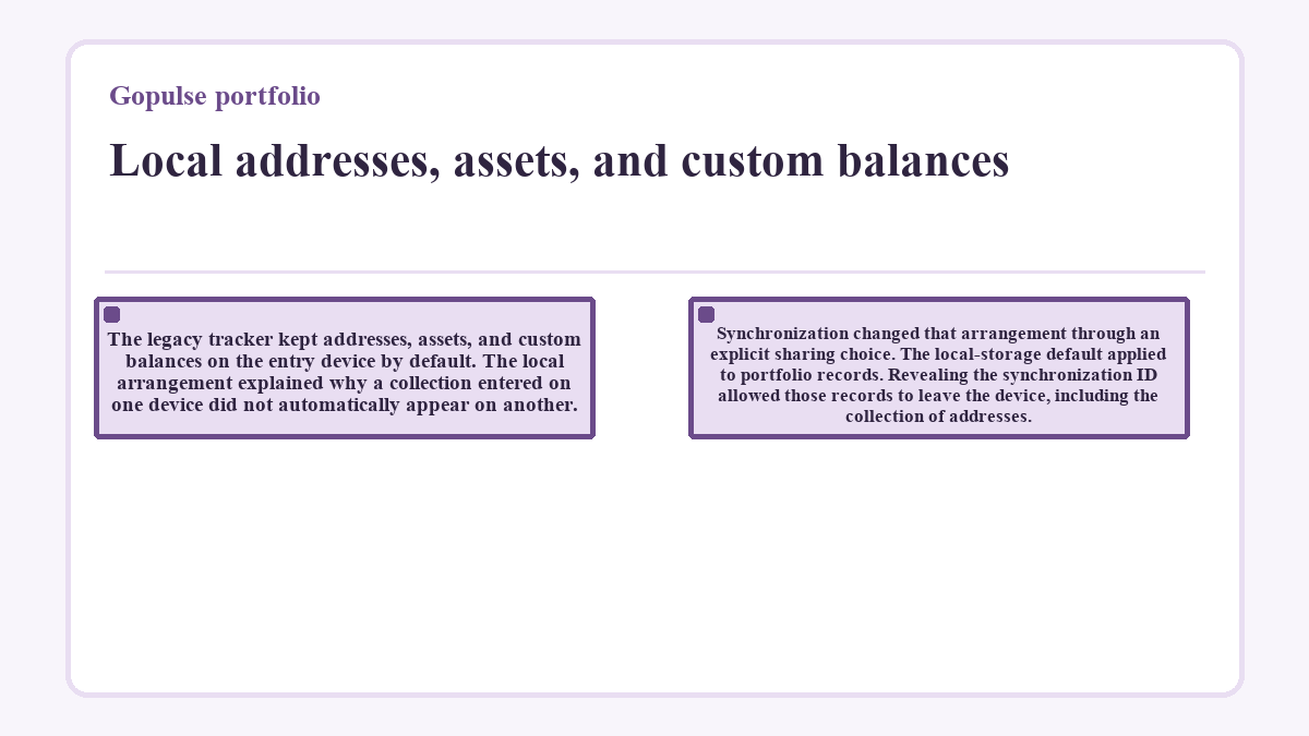 Visual summary: Gopulse portfolio - Local addresses, assets, and custom balances